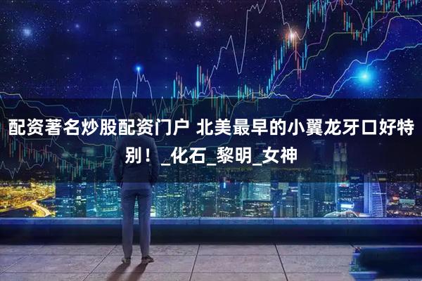 配资著名炒股配资门户 北美最早的小翼龙牙口好特别！_化石_黎明_女神