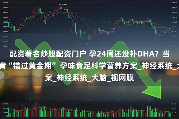 配资著名炒股配资门户 孕24周还没补DHA？当心胎儿脑发育“错过黄金期” 孕味食足科学营养方案_神经系统_大脑_视网膜